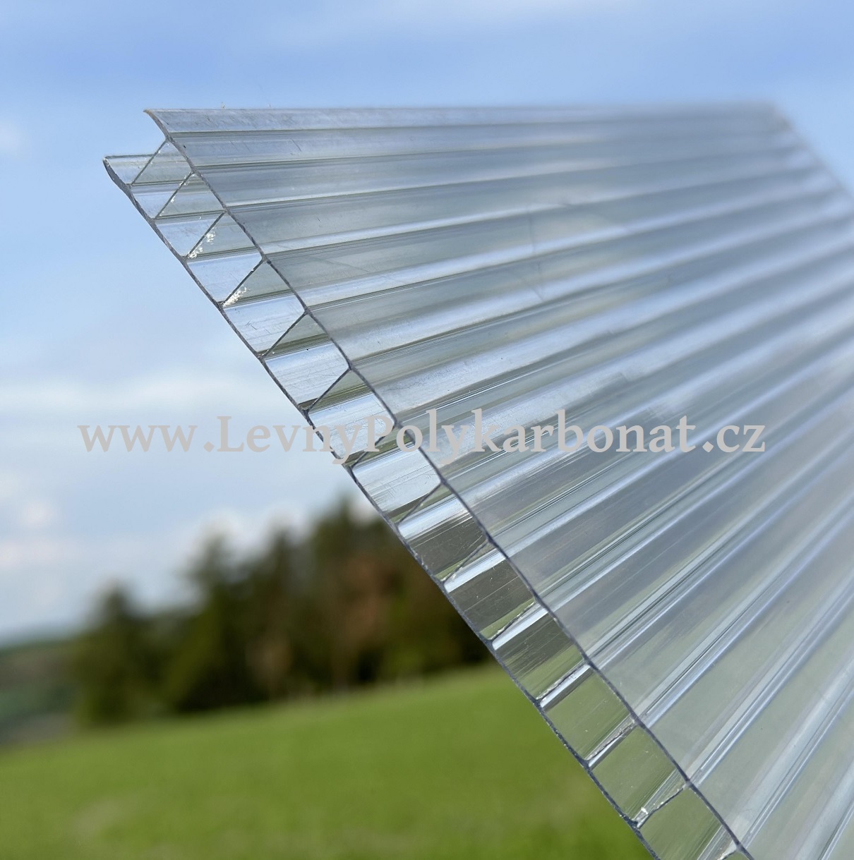 Dutinkový PC LEXAN THERMOCLEAR LT2UV 8,0/2RS ČIRÁ 1,05m x 6m (6,3m2)