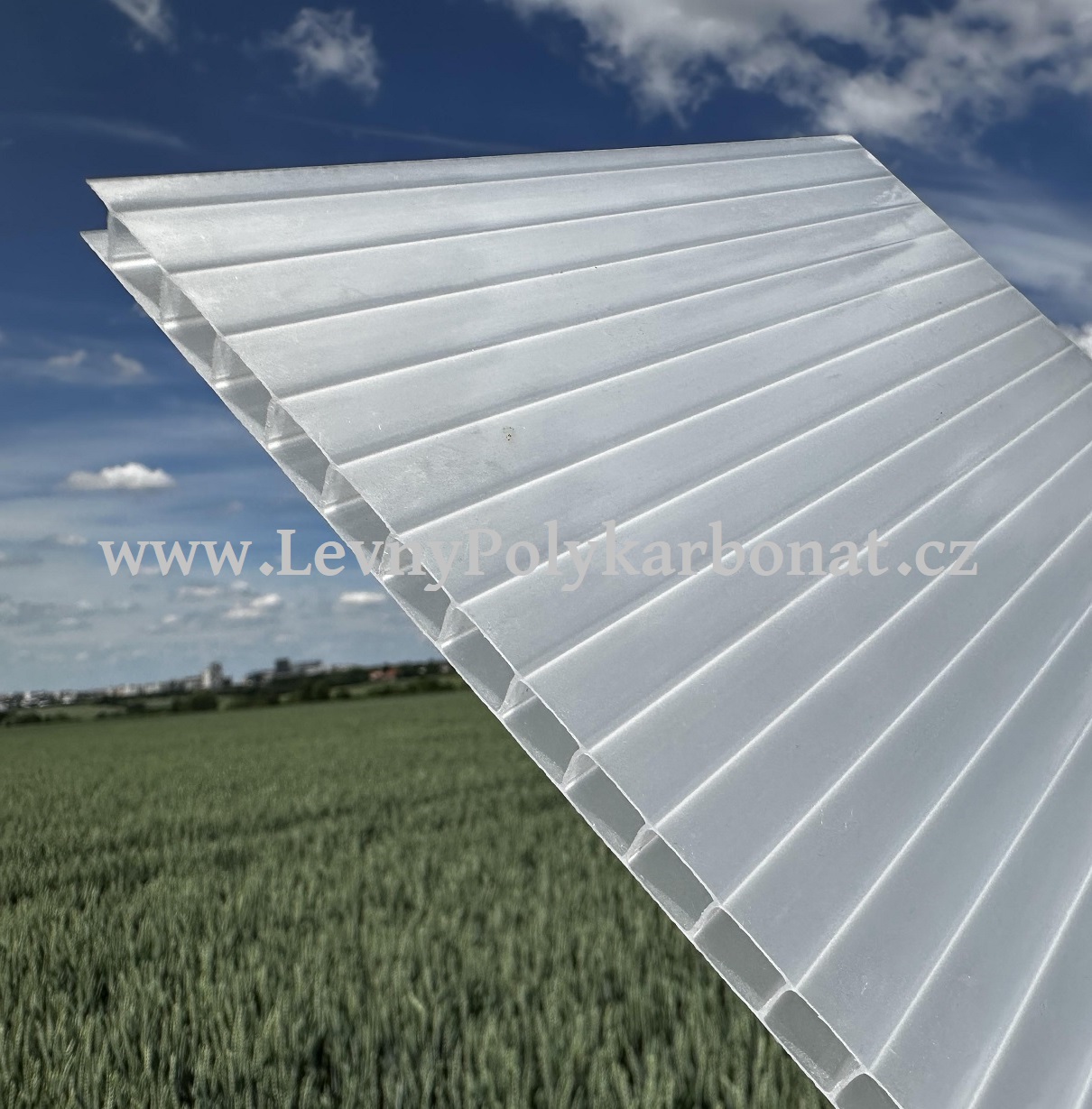 Dutinkový PC LEXAN THERMOCLEAR LT2UV 6,0/2RS OPÁL MLÉČNÁ 2,1m x 3m (6,3m2)